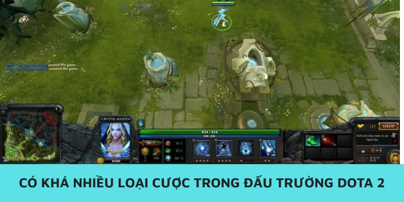 Đa dạng loại kèo cược trong đấu trường Dota 2 VN88
