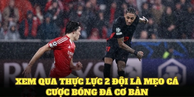 Nghiên cứu thực lực 2 đội là mẹo cá cược bóng đá cơ bản